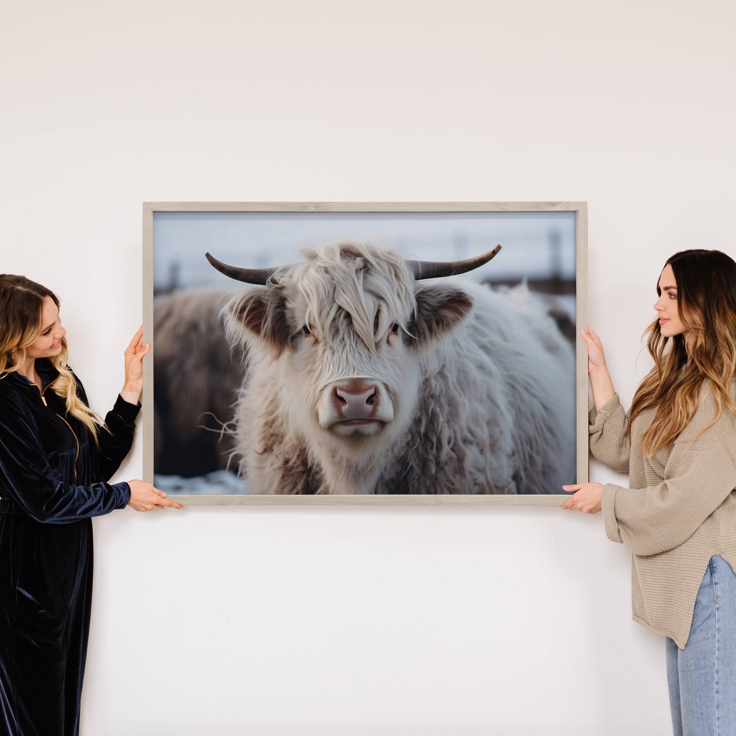 White Highland Cow Framed Photo *In-Store Pickup Only