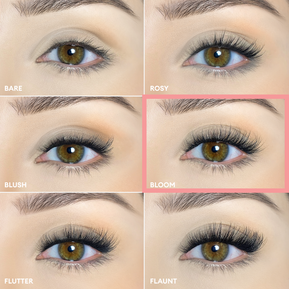 Pop-On Lashes - Style Bloom