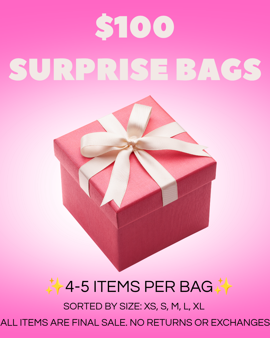 $100 Surprise Bags