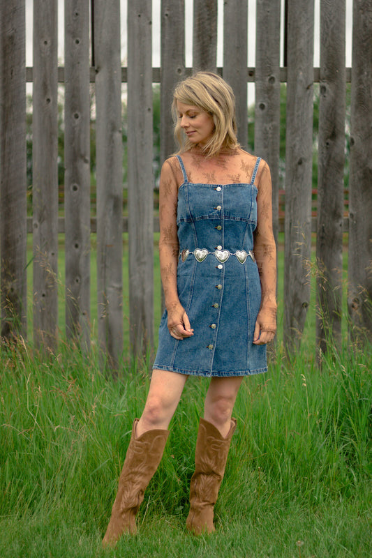 Denim Button Down Mini Dress