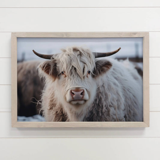 White Highland Cow Framed Photo *In-Store Pickup Only