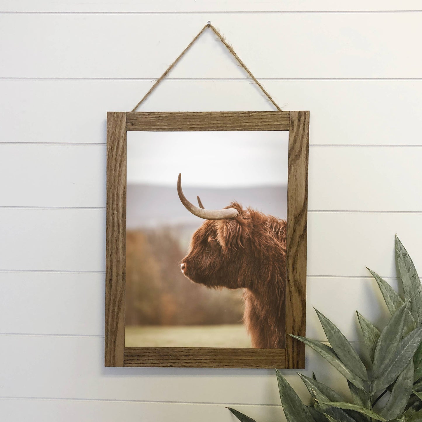 Highland Cow Profile Framed Wall Art *In-Store Pickup Only
