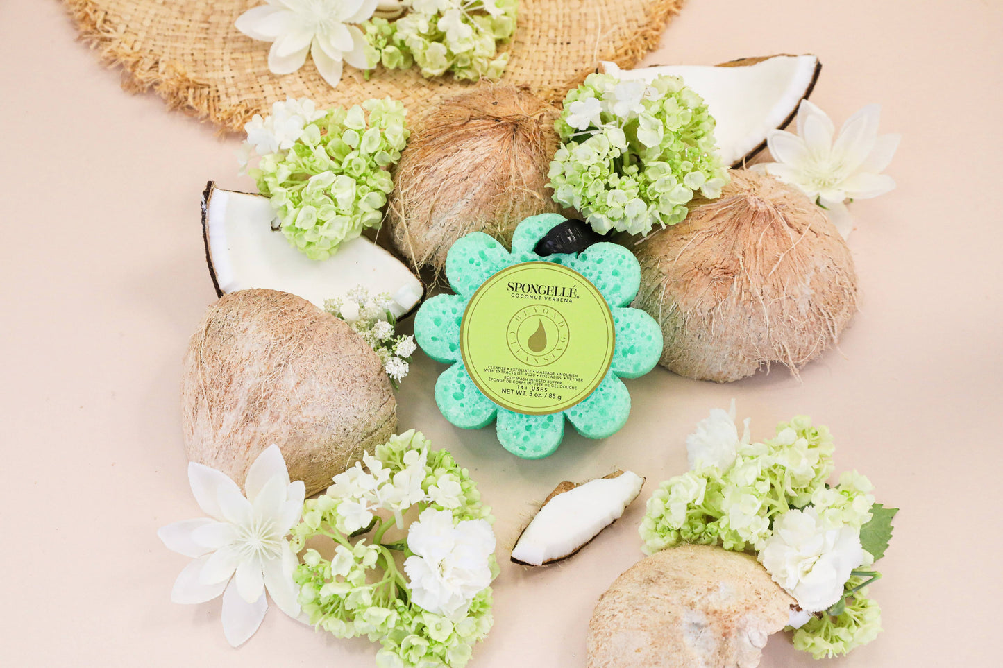 Coconut Verbena Wild Flower