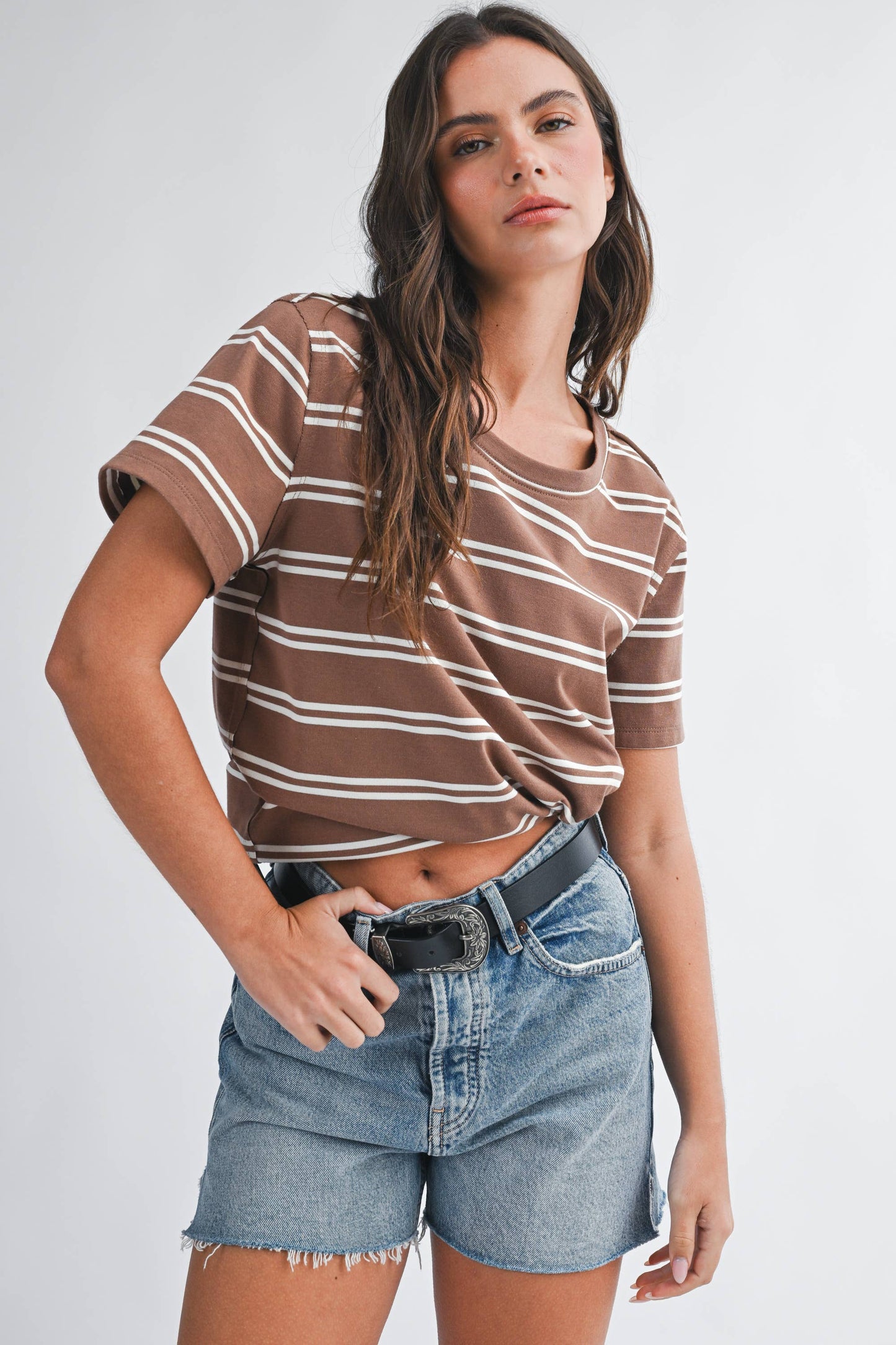 Striped Boxy Short Sleeve Tee - Brown