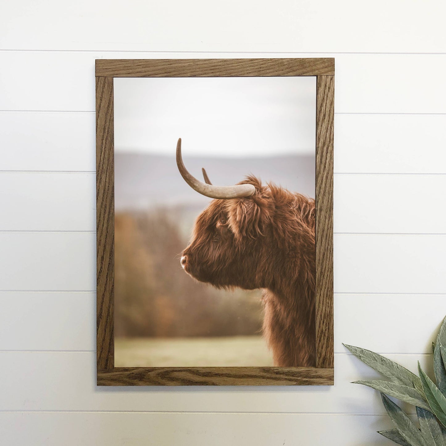 Highland Cow Profile Framed Wall Art *In-Store Pickup Only