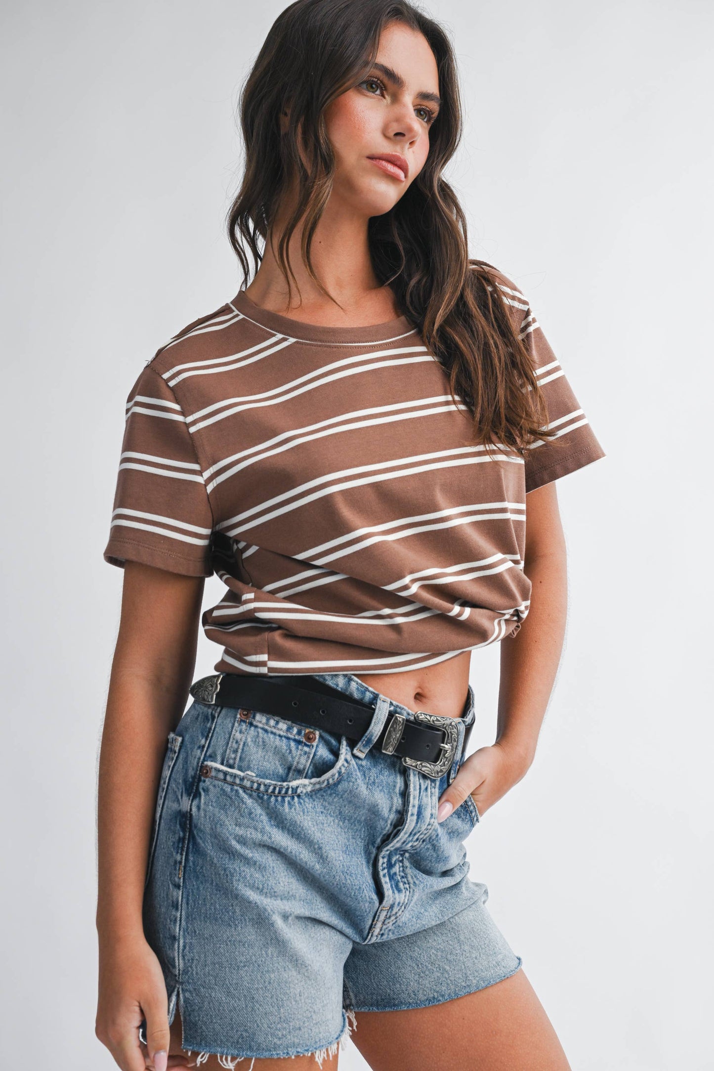 Striped Boxy Short Sleeve Tee - Brown