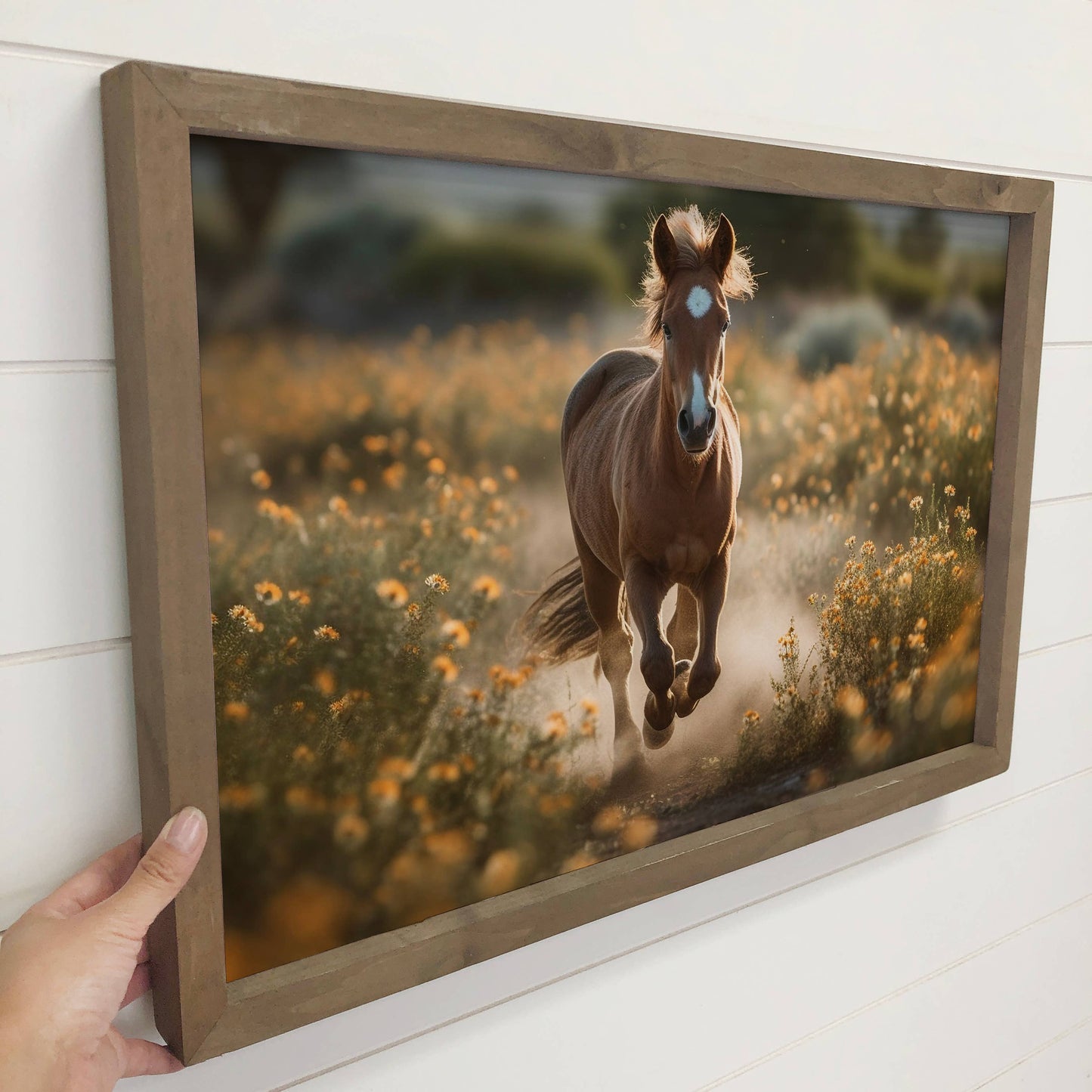 Horse in Wildflowers Framed Wall Art *In-Store Pickup Only