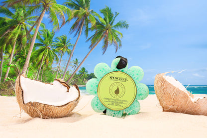 Coconut Verbena Wild Flower