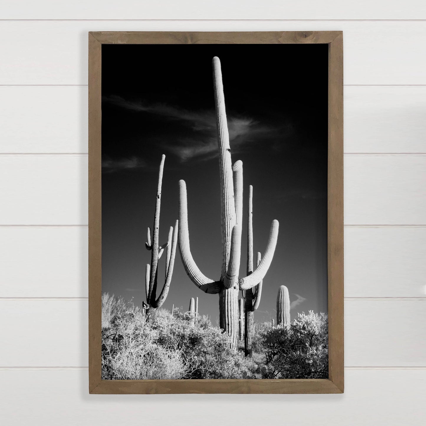 Saguaro Cactus Framed Photo *In-Store Pick Up Only