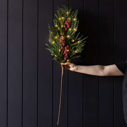 Red Plum Frosted Berry Norfolk Cypress Real Touch Stems: Medium Stem - 31”