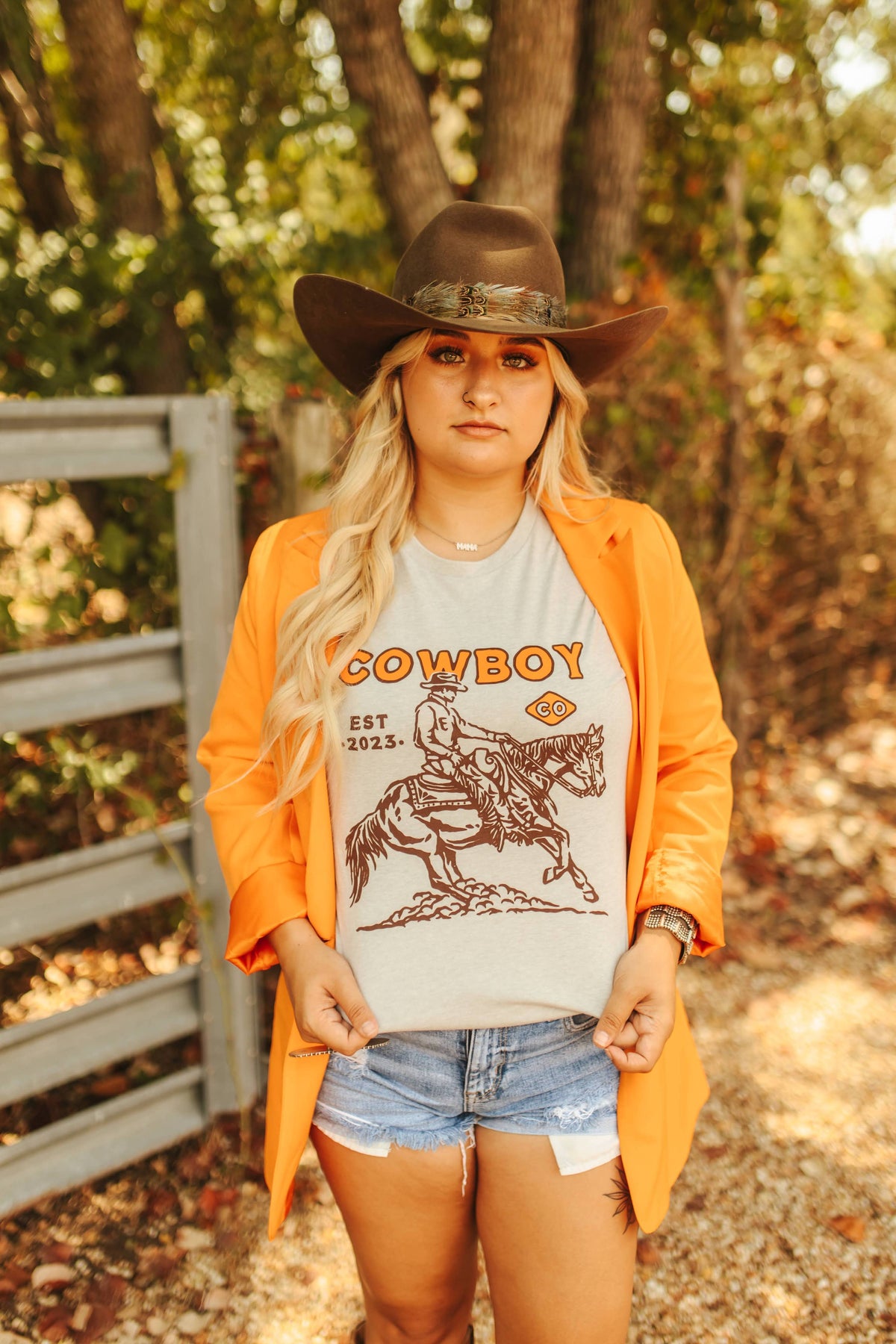 Cowboy Co Horse Western Graphic Tee